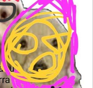 aratois