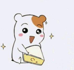 Denisse ฅ^•ﻌ•^ฅ