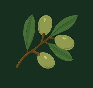 Jolly Olive