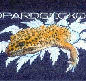 LeopardGeckoFry