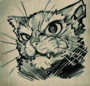 Parole de chat