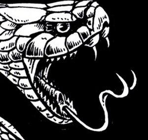 Snake Artist Prints