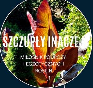 Szczupły Inaczej