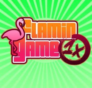 Flamingame1x