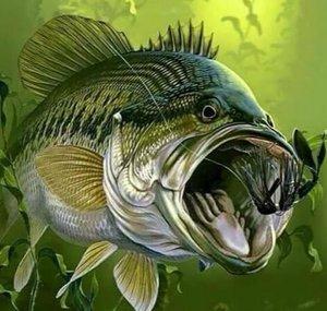KV Fishin Channel