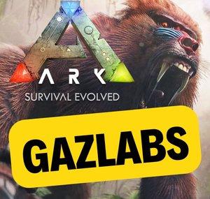 The Gaz Lab