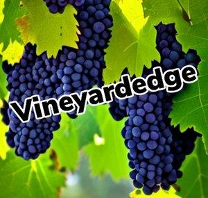 Vineyardedge