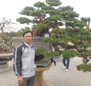 BONSAI CHIA SE