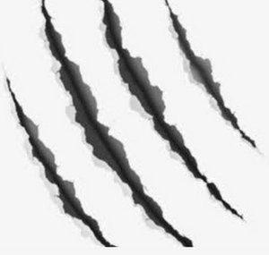 Claw