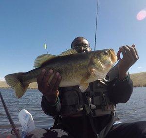 Fishin Noob