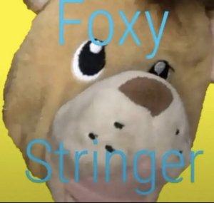 Foxy Stringer
