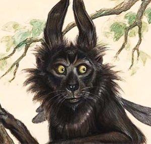 PookaRua