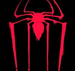 spidey2065