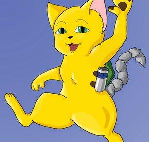Teriki Tora