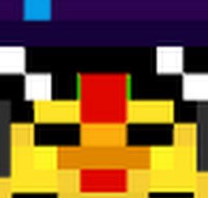 Twenty One Chickens