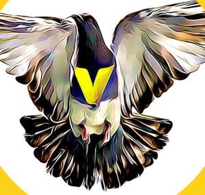 Vector Historia