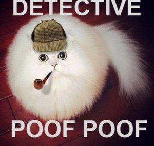 Detective PoofPoof
