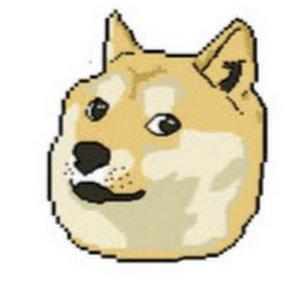 Doge Charger