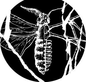 Holding Absence