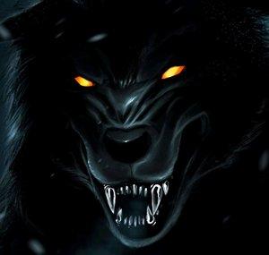 IrateTigerr