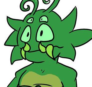 Kire The cat