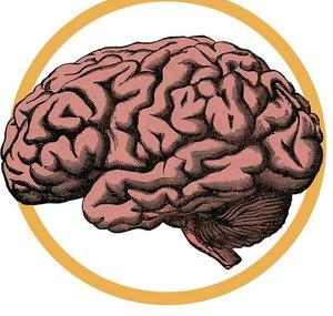 Mente Humana
