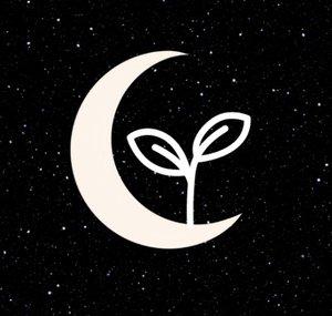Moon Sprout