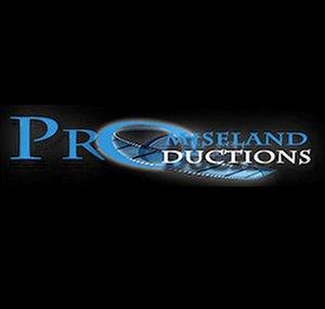 PromiselandPro *