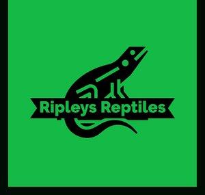 Ripleys Reptiles