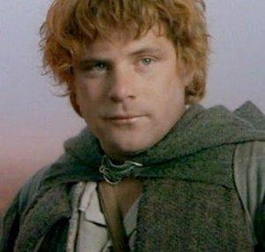 Samwise Gamgee