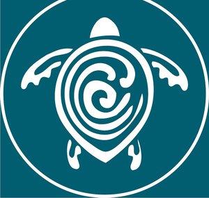 Sea Turtle Conservancy