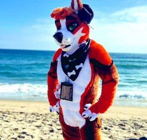 ThatDogCoda