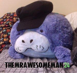 TheMrawesomeman24