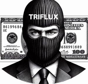 TRIFULUX HUB - Mind & Money 