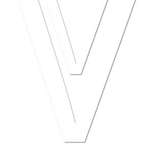 VisionVictory