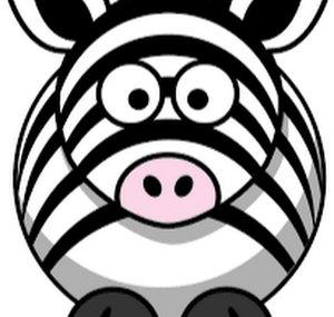 CubingZebra