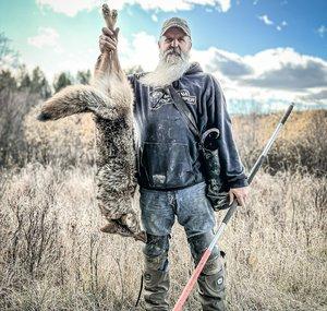 Montana wolf Trapper