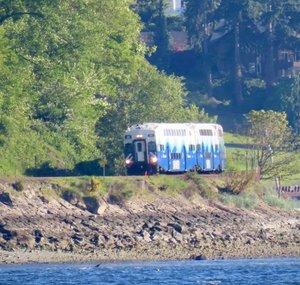 Puget Sound Railfan