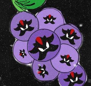 ShadowGrapes