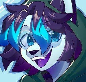 ★zycs_furry★