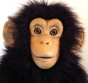 AngryChimp