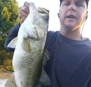 D.Nasty Fishing