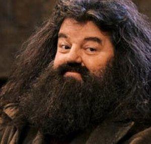 Hagrid