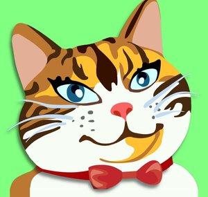 ibxtoycat