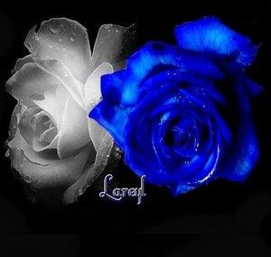 Lareyl