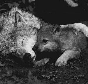 LoveForAnEternity