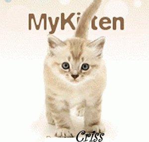 MyKitten82