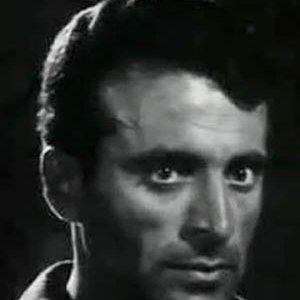 Nikos Tsachiridis