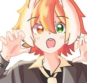 Orennji八五