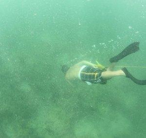 SnorkelTV